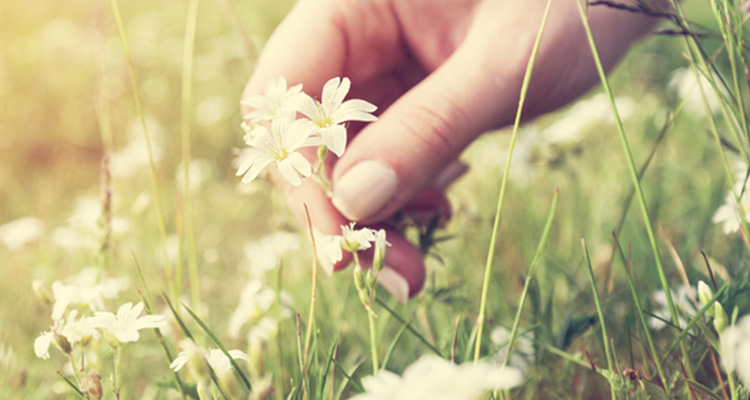 Zahnarzt in Düsseldorf: Zahn-OP beim Fachzahnarzt